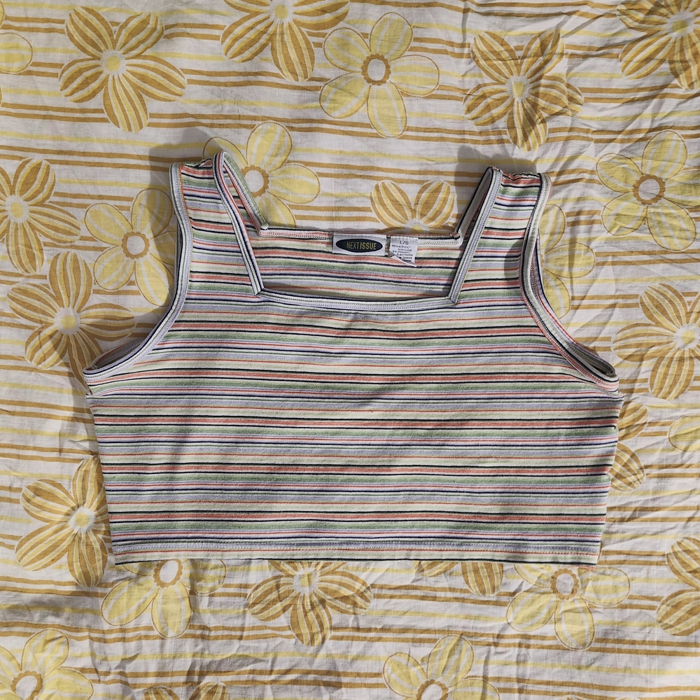 Striped Multicolor Crop Top